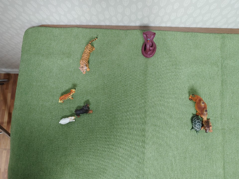 2000769928_EQ5KfAFr_a70c9876251cb55df837a28c6cbaf8b238e9970f.jpg 이미지크게보기